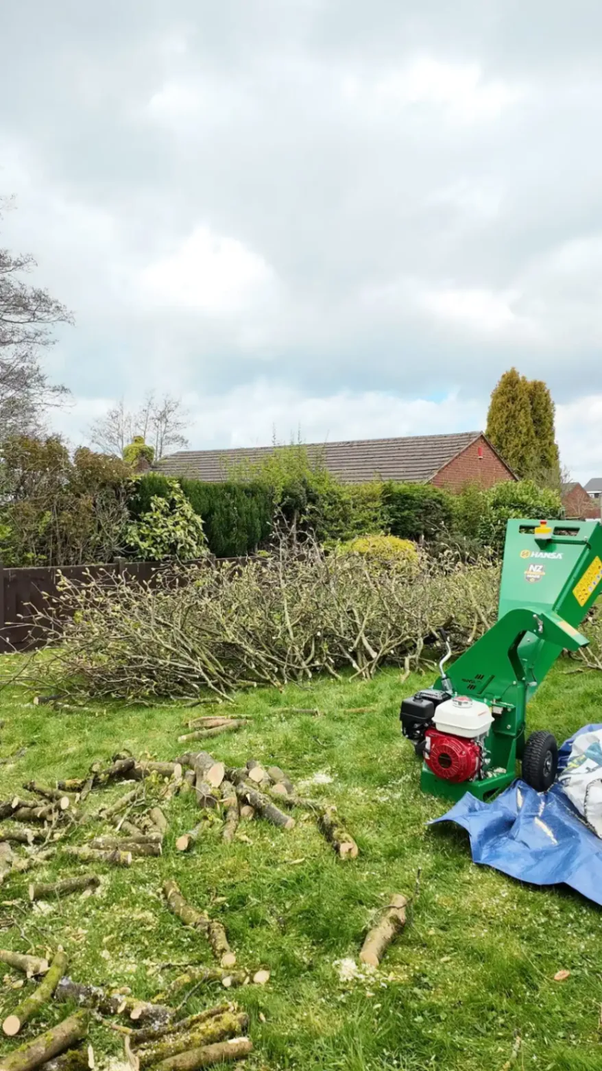 Sycamore pruning arisings collected and ready to be chipped