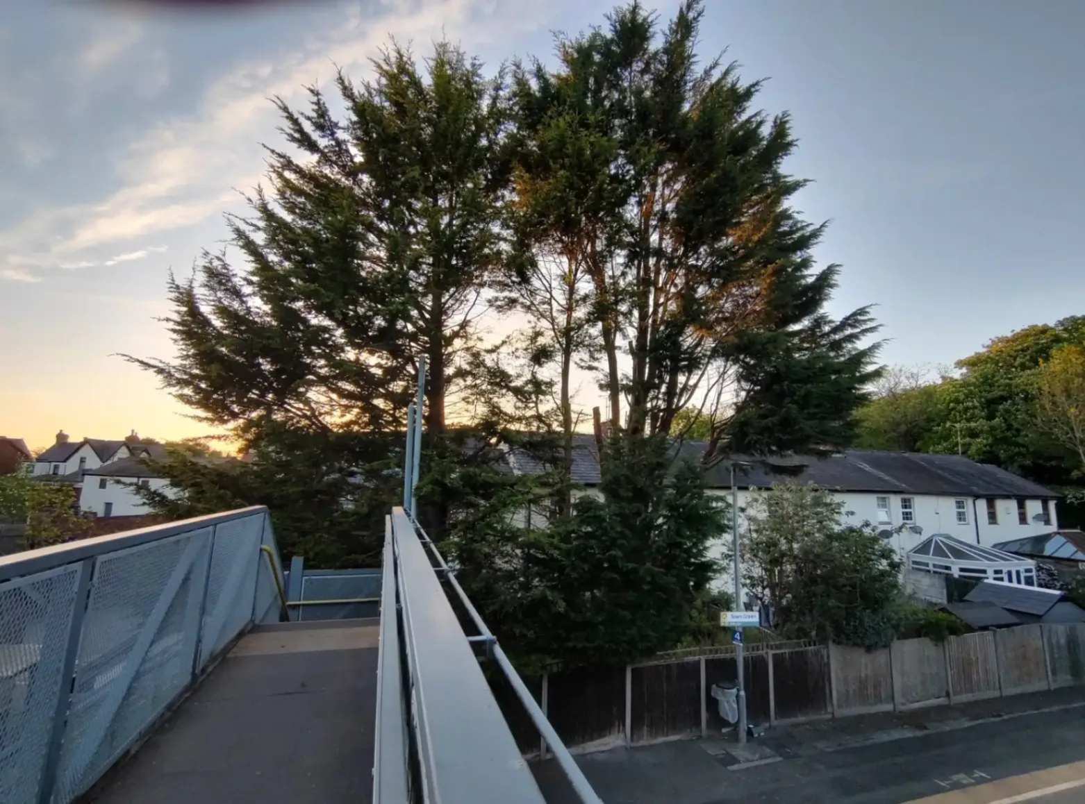 Cypresses to be removed overnight next to a train stop