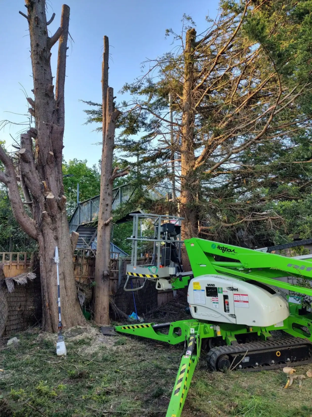 Early morning after working all night from a cherry picker to remove large cypress trees