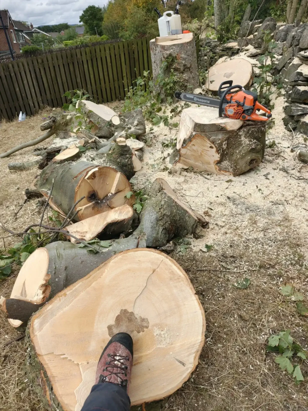 A large tree trunk being cut to pieces to be carried out safely