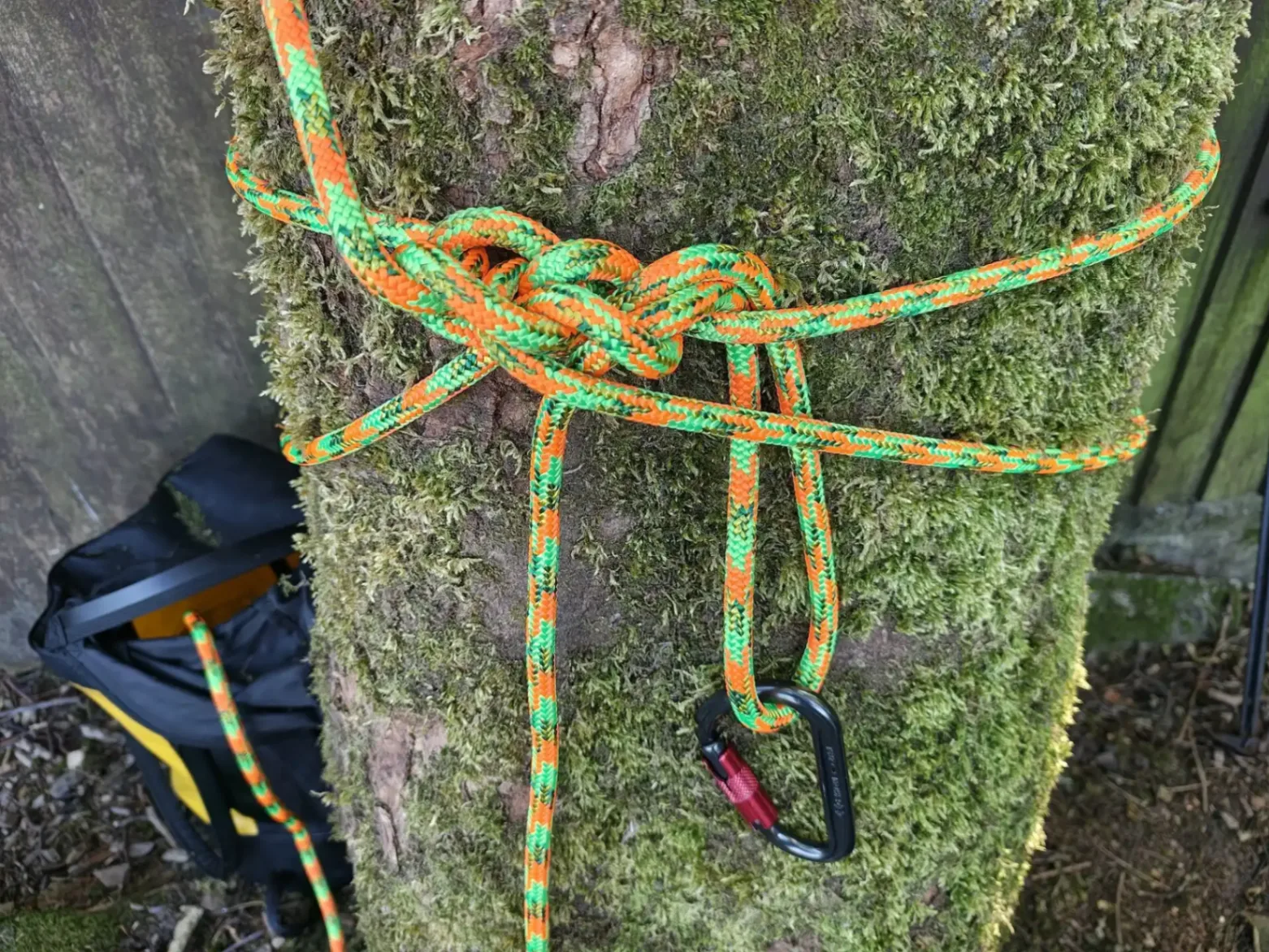 Reliable basal tie for safe tree climbing