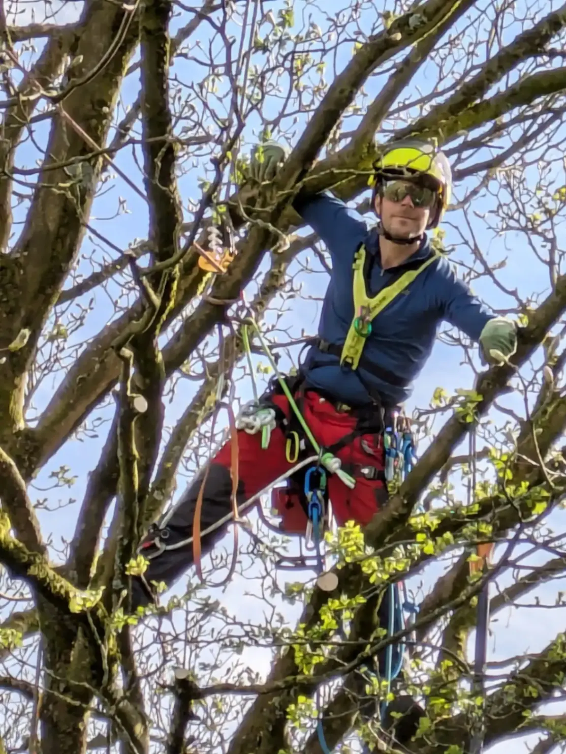 Marek of Hen Cloud Tree Care