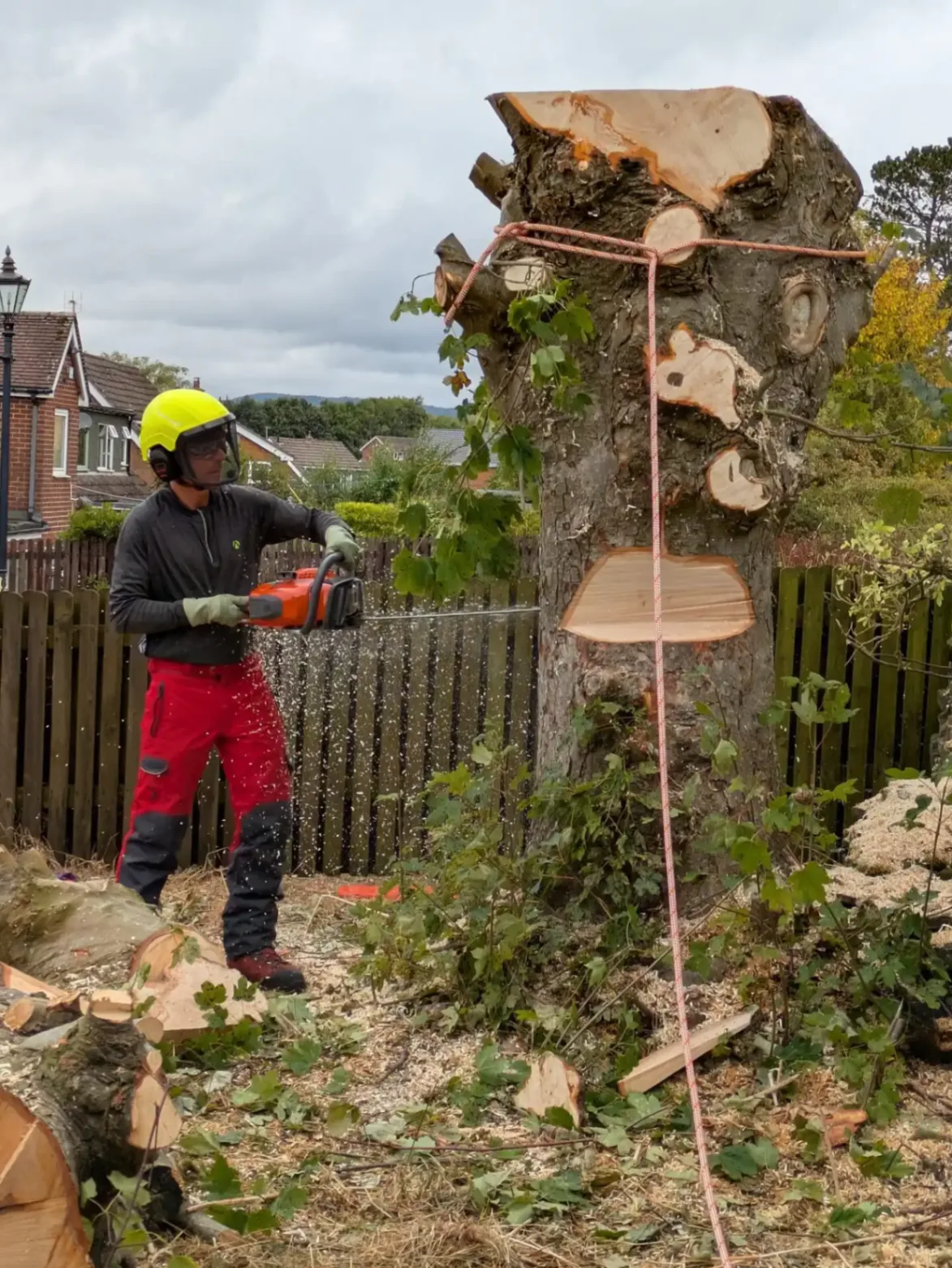 Marek of Hen Cloud Tree care felling a heavy section of a tree next to a dry stone wall, a fence and a steep slope towards a house